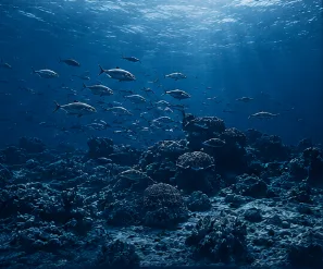 Peces bajo la superficie del agua