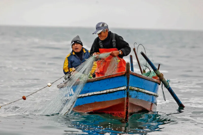 Pescadores trabajando con redes desde una embarcación